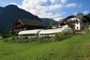 une ferme avec un train dans un champ de montagnes dans l'établissement Bio Felderhof, à Villa Ottone