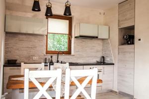 Kuchyňa alebo kuchynka v ubytovaní Apartament Pod Modrzewiami