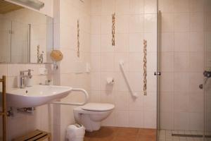 a bathroom with a toilet and a sink and a shower at Marhof Pustertal in Anras