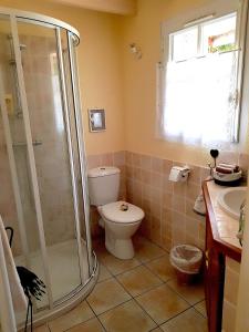 a bathroom with a shower and a toilet and a sink at Le Chat Courant in Villandry