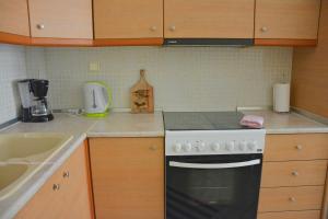 Kuchyň nebo kuchyňský kout v ubytování Alex Superior Apartment