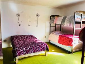 a room with two bunk beds in a room with green at Casa Alsacia in Guadalajara