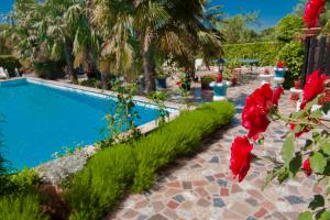 a swimming pool with red flowers in front of it at Apartments Paradis in Rovinj +6 photos