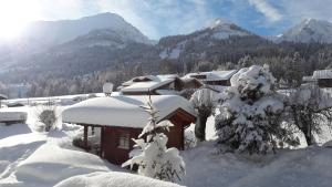 Haus Baumgartner v zime