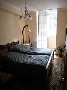 a bedroom with a bed and a window at Apartment Erekle in Borjomi