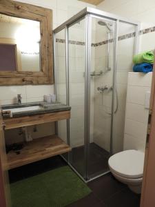 a bathroom with a shower and a toilet and a sink at Kleinwidmoos-Apartment in Wagrain