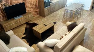 TV a/nebo společenská místnost v ubytování Nový Apartmán Říčky + 17 fotografií