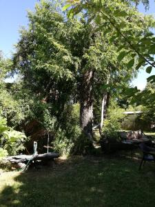 Jardín al aire libre en El Boldo Magico