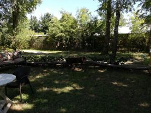 un patio trasero con una hoguera, árboles y un sofá en El Boldo Magico, en Pucón