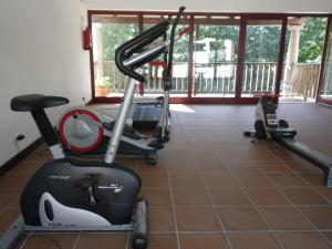 O centro de fitness e/ou as comodidades de fitness de Hotel Rural Quinta de Novais