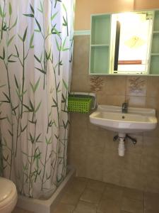 a bathroom with a sink and a shower curtain at Eleni Apartments in Arillas +15 photos