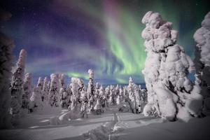 Villa Saarua by the Slopes Ski in, Family & Bike Park, hike trails, National Park, WiFi - Lapland Villas trong mùa đông