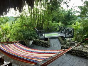 a hammock in the middle of a garden with a bench at Villa La Loma in Concepción de La Vega