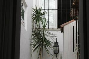 Fotografie z fotogalerie ubytování GM Rooms Boutique Hotel v destinaci La Rioja