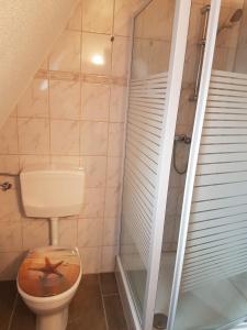 a bathroom with a toilet and a walk in shower at Ferienwohnung Garz in Garz-Rügen