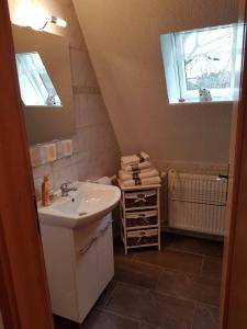 a bathroom with a sink and a mirror at Ferienwohnung Garz in Garz