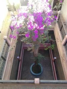 Foto dalla galleria di Hotel Cecil a Marrakech