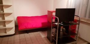 TV a/nebo společenská místnost v ubytování Apartment Littau