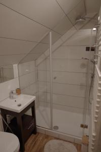 Koupelna v ubytování Ski House Szczyrk - Centrum + 37 fotografií