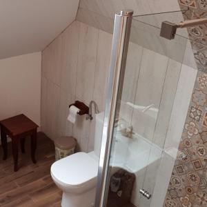 a bathroom with a toilet and a shower at Casa Tanti Patrita in Slon +26 photos