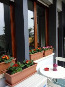 una fila de macetas en un balcón con flores en B&B Xenia, en Pordenone