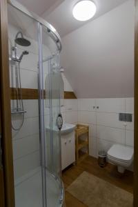 Vonios kambarys apgyvendinimo įstaigoje Bacówka na Zadzielu