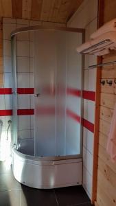 La salle de bains est pourvue d'une douche et de carrelage rouge et blanc. dans l'établissement Ośrodek Wypoczynkowy Nad Brdą, à Tuchola