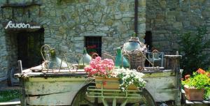 Zahrada ubytování Agriturismo Saudon