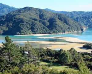 un'isola in mezzo a un fiume con alberi di Annick House Bed and Breakfast a Nelson