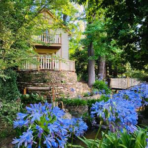 un jardín con flores azules frente a una casa en Aldgate Creek Cottage Bed and Breakfast, en Aldgate