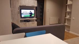 una sala de estar con un sofá y un televisor en Your Home in Tbilisi: Cosy stay in the Old City, en Tiflis