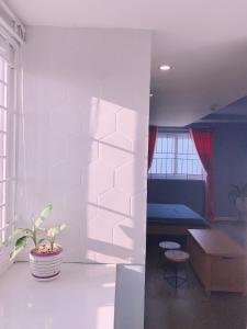 Fotografie z fotogalerie ubytování Sleep Box Hostel Phú Quốc v destinaci Phu Quoc