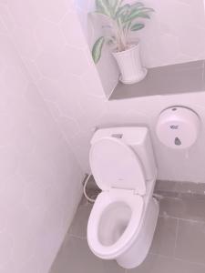 Koupelna v ubytování Sleep Box Hostel Phú Quốc