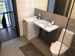 a bathroom with a sink and a washing machine at Poilsio apartamentai "Jolita" in Druskininkai +26 photos