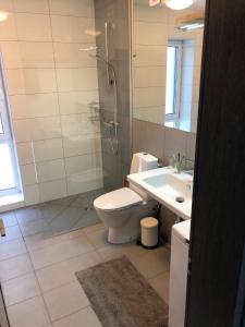 a bathroom with a toilet and a shower and a sink at Poilsio apartamentai "Jolita" in Druskininkai