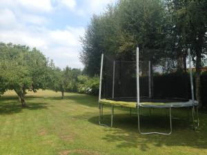 Ogród w obiekcie Villa Salgueiros