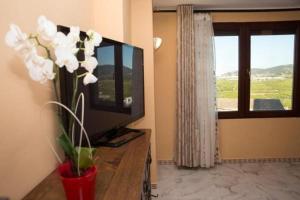 a living room with a television and a vase with white flowers at Alojamento turistico Perla in Ador