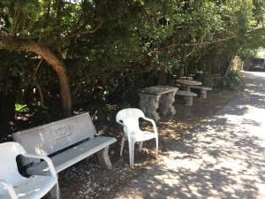 a row of park benches sitting under a tree at 1010 Clifton bnb in Centurion