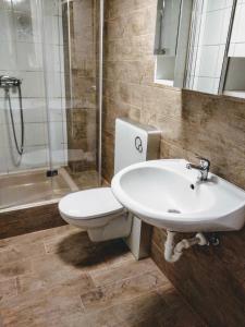 een badkamer met een toilet, een wastafel en een douche bij Ferienwohnungen Willrich in Blankenheim