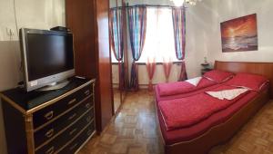 a bedroom with a bed and a tv and a window at Privatzimmer Dimitrova in Ulrichsberg