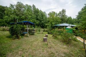 een tuin met een prieel en een veld met bomen bij Dubrava Hotel in Kazan