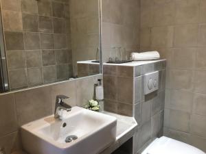 uma casa de banho com um lavatório, um WC e um espelho. em Hôtel du Parc em Montpellier mais 37 fotografias