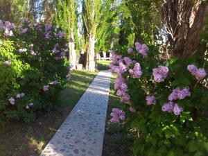 una pasarela a través de un jardín con flores púrpuras en Estancia La Angostura, en Las Horquetas 47 fotos más