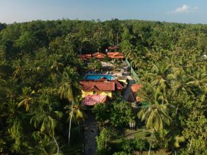 - une vue aérienne sur un complexe dans la jungle dans l'établissement Resort Like No Other, à Uggalboda