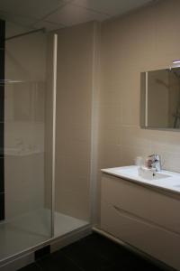 een badkamer met een douche, een wastafel en een spiegel bij Le Télémark in Pralognan-la-Vanoise