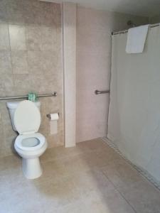 Koupelna v ubytování Royal Budget Inn
