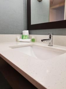 Cuenta con una encimera con lavabo blanco y espejo. en Holiday Inn Youngstown-South - Boardman, an IHG Hotel en Boardman