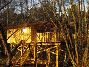 une cabane dans les arbres avec un escalier menant à celle-ci dans l'établissement Cabane des cerfs, à Allons