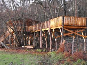 een houten brug in het midden van een bos bij Cabane des cerfs in Allons