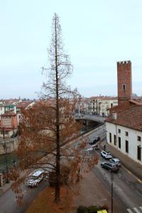 a tree in the middle of a city with a street at Guest House Ca' Lou al Teatro in Vicenza